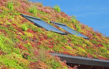 Rickleton living roof systems