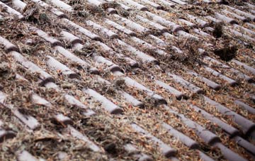 Rickleton roof cleaning companies