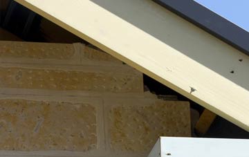 soffit repair Rickleton