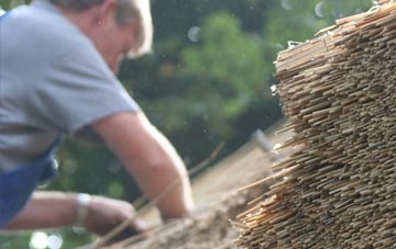 professional Rickleton thatchers